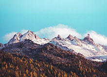 开云官网的美好体验:让连接变成价值