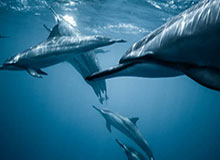 开云官网的美好体验：让连接变成价值